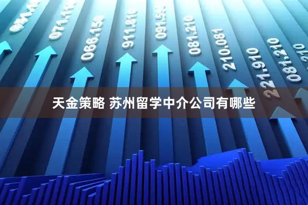 天金策略 苏州留学中介公司有哪些