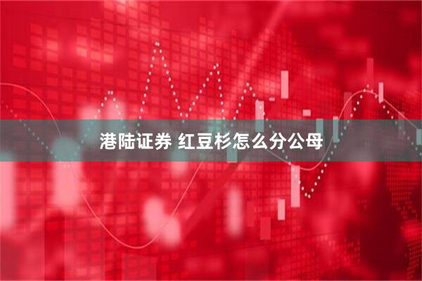 港陆证券 红豆杉怎么分公母